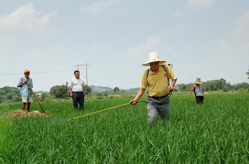 宁波网络公司|宁波网站建设|宁波网络推广